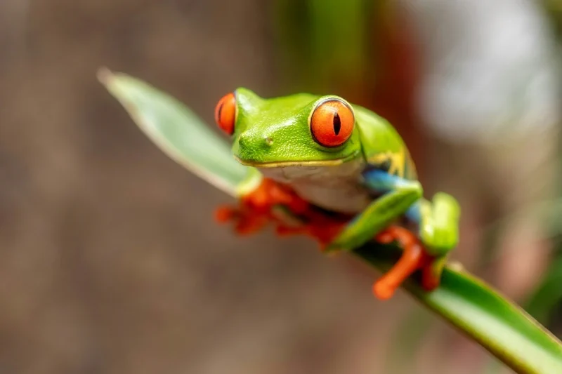 geoffrey-baumbach-12BoBPYlGd0-unsplash